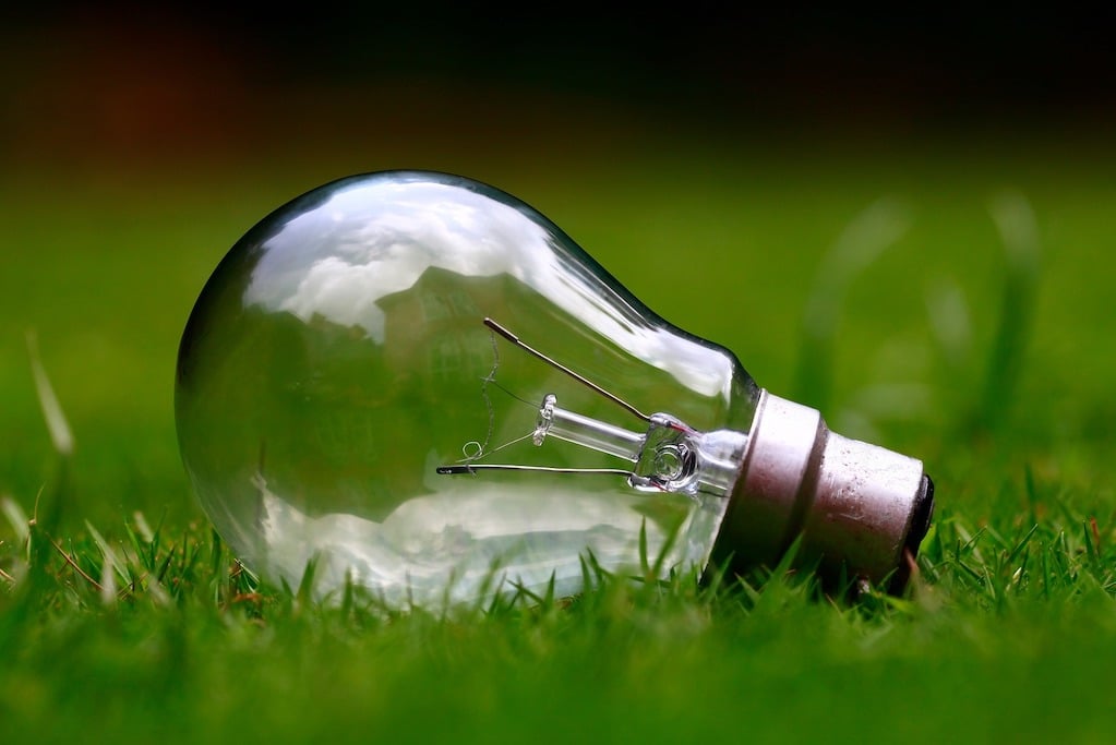 Image of lightbulb on grass to represent a sustainable events industry